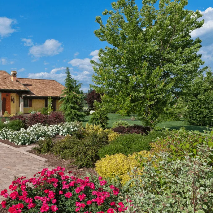 entretien de jardin Laragne Montéglin